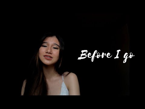 Lewis Capaldi - before you go (from another perspective) cover