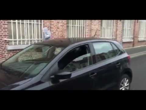 Volkswagen Group France