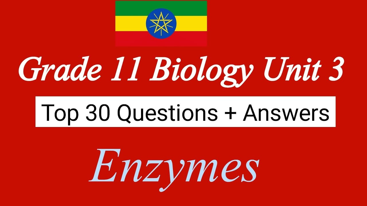 Grade 11 Biology unit 3 Enzymes Top 30 questions with answer and explanations 
