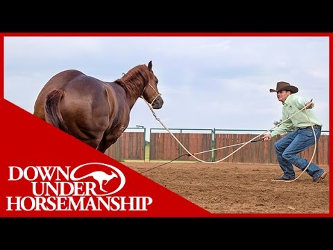 Clinton Anderson: How to get a Horse to Move Out Better on the Ground - Downunder Horsemanship