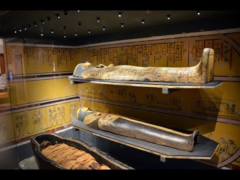image-Where is the Leeds City Museum located?
