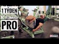 JAN TUREK IFBB PRO - 1 TÝDEN DO ROMANIA PRO 2021
