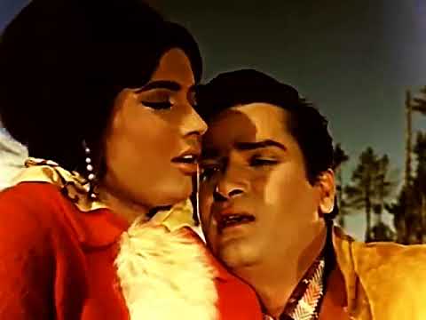 Meri Mohabbat Jawan Rahegi - JANWAR