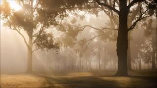 Song for the asking PAUL SIMON videoclip