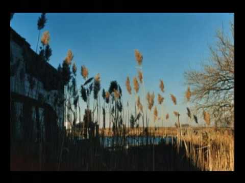 The Cinematic Orchestra - Breathe (ft. Fontella Bass)