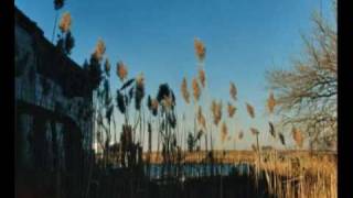 The Cinematic Orchestra - Breathe (ft. Fontella Bass)