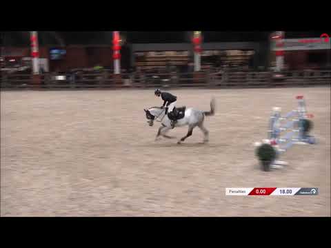 Nairobi de Muze - Azelhof 2022