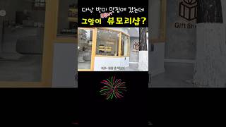 다낭 반미 맛집에 갔는데 그 앞이 뷰모리샵 이라고?  #travel #여행 #오토바이여행 #베트남 #혼자여행…