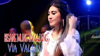 Download lagu Via Vallen - Bisane Mung Nyawang | Dangdut  mp3