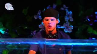 Calvin Harris vs. Avicii - Sweet Superlove Nothing (Alesso MashUp) @Tomorrowland 2013