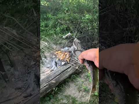 Pesca y Cocina en los Gomez, Tucumán #pesca #pescaycocina #dorados #pescaydevolucion #fishing