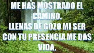 Me Has Mostrado El Camino.