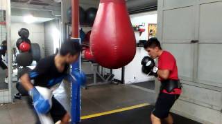 Boxing Hill Gym Long Beach Ca