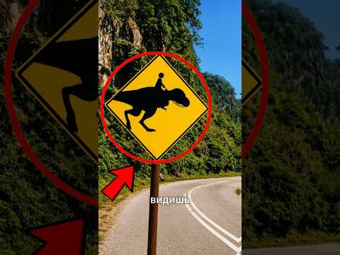 Этот дорожный знак заставит тебя резко остановиться 😱