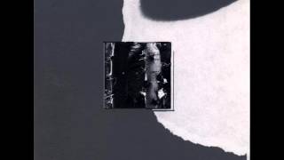 Birds Of Tin & Augur - Palatial