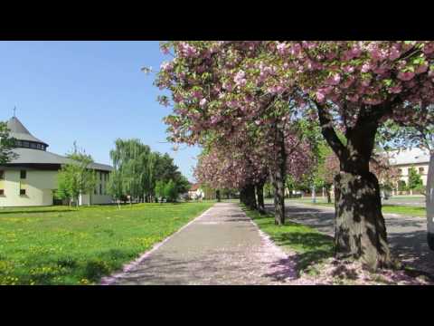 Jar sa v Michalovciach postarala o parádny výjav: To je ale krása! VIDEO