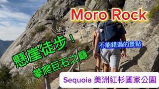 美洲紅杉國家公園Sequoia NP/King Canyon｜感受最刺激的懸崖￼徒步！攀爬巨石之巔 Moro Rock ￼ 紅杉必￼打卡之地