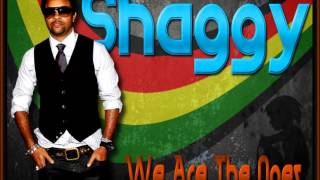 Shaggy - We Are The Ones