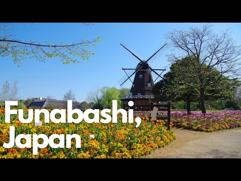 Funabashi’s Hidden Gems: The Ultimate Local Guide!