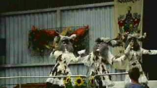 preview picture of video 'Barocke Weinköniginnen - 40 Jahre Weingut Leopold Schätzle, Endingen'