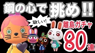 【離島ガチャ】鋼の心で挑め！欲しいうさぎ3匹を求めて離島ガチャ80連‼【あつ森】