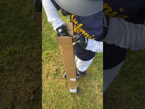 New Axe Bat Unboxing reaction