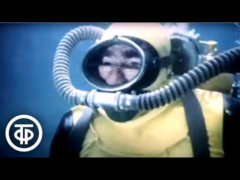 Куда вел след динозавра. Приключенческий фильм. Серия 2 (1987)