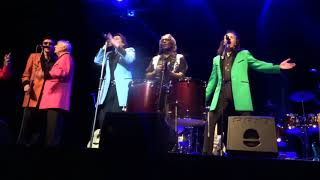 Blue Moon   Showaddywaddy At Arbroath Theatre