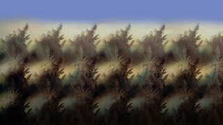 McCoy Tyner "Sama Layuca" (loop)