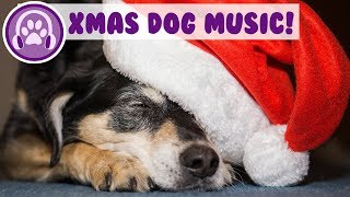 Christmas Music for Dogs! Rudolph the Red Nosed Reindeer, Last Christmas!