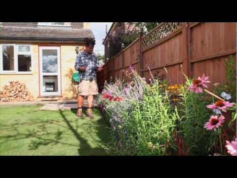 How To Maintain Your Garden on a Roll in Summer
