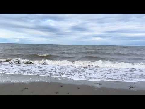 Hurlements de Maryse Goudreau et Jean-Denis Boudreau aux loups marins