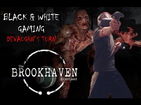 Game The Brookhaven Experiment