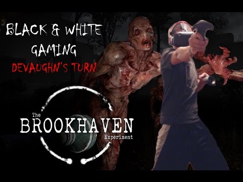 The Brookhaven Experiment on Steam