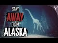 The Alaskan Tree God Incident Of 1989