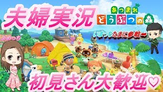 【あつ森】女性実況　ライブ　　あつ森のこと教えてください♡　気軽にコメントください