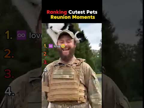 Ranking Cutest Pets Reunion Moments #shorts