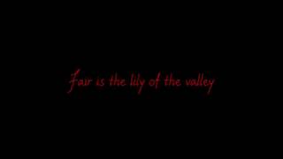 The High Kings - Red is the Rose (Lyrics)