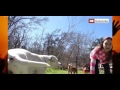 AFV 2016 Funny Home Videos And Funniest Videos P 9
