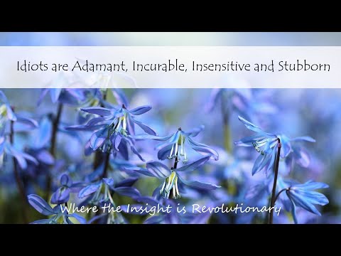 Idiots are Adamant, Incurable, Insensitive and Stubborn