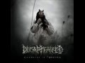 Decapitated- A View From A Hole