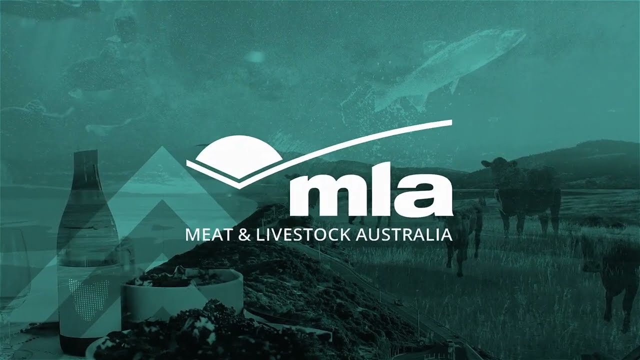 STARTUPBOOTCAMP – video: