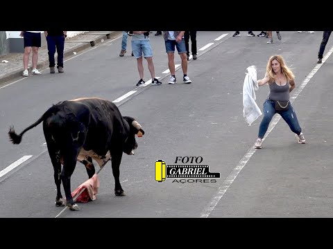 15 Junho 2024 Tourada à Corda 5 Ribeiras H F AÇORES
