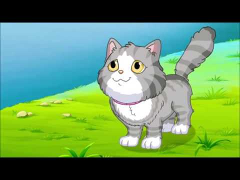 Pisicuta, pis,pis, pis