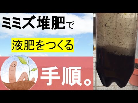 自然界で堆肥、肥料、ミミズが見つかる場所