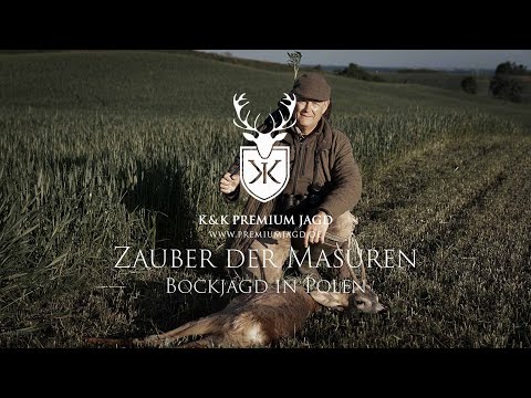 Zauber der Masuren - Bockjagd in Polen mit K&K Premium Jagd