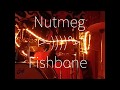 Nutmeg  - Fishbone