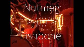 Nutmeg  - Fishbone