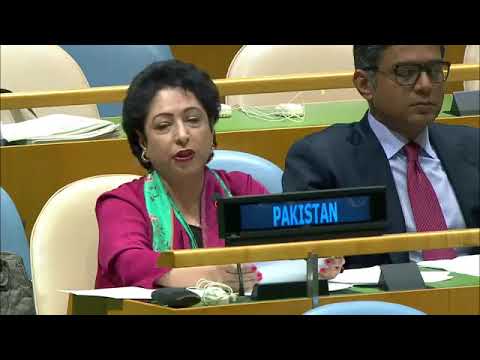Pakistan Quotes Arundhati Roy To Lash Out At India At UNGA-24 Sept 2017