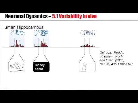 5.1 Variability of spike trains